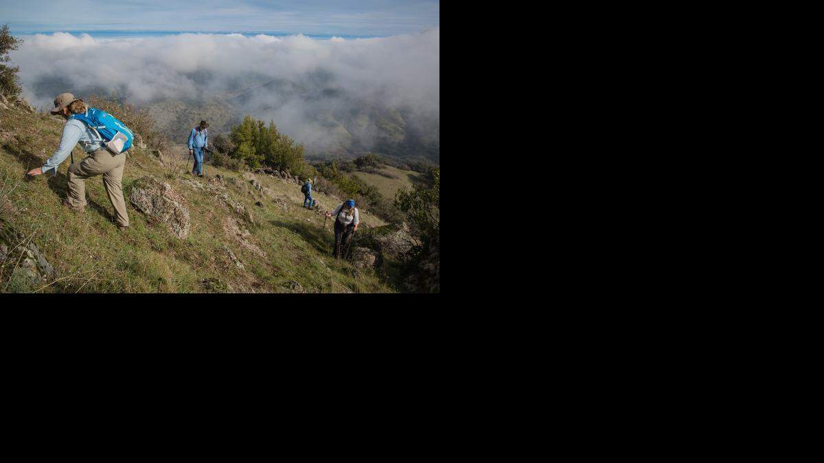 
Hikers make their way up the final push to the summit of Yana Peak on Jan. 17 in the Sutter Buttes mountain range a few miles northwest of Yuba City. Land around the Buttes is privately owned, limiting access to the peaks. The Sutter Buttes Regional Land Trust hosts a limited number of hikes in the area in winter, early spring and fall.
