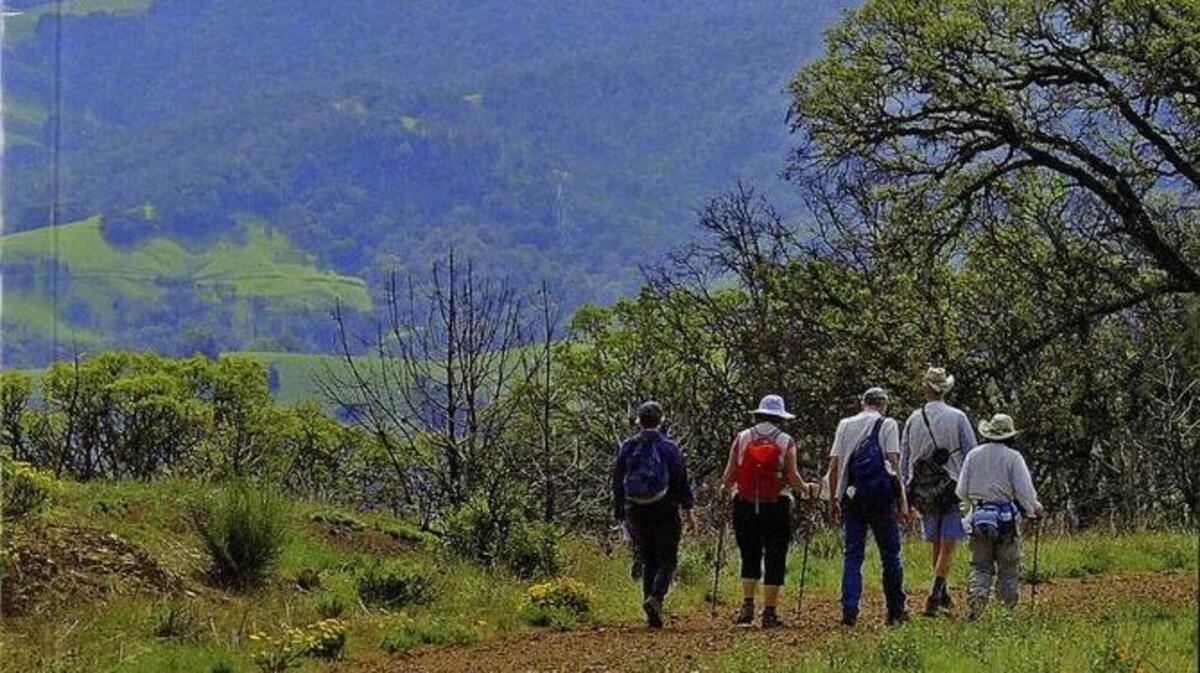 Hiker’s Guide to Mount Diablo State Park from Mount Diablo Interpretative Association