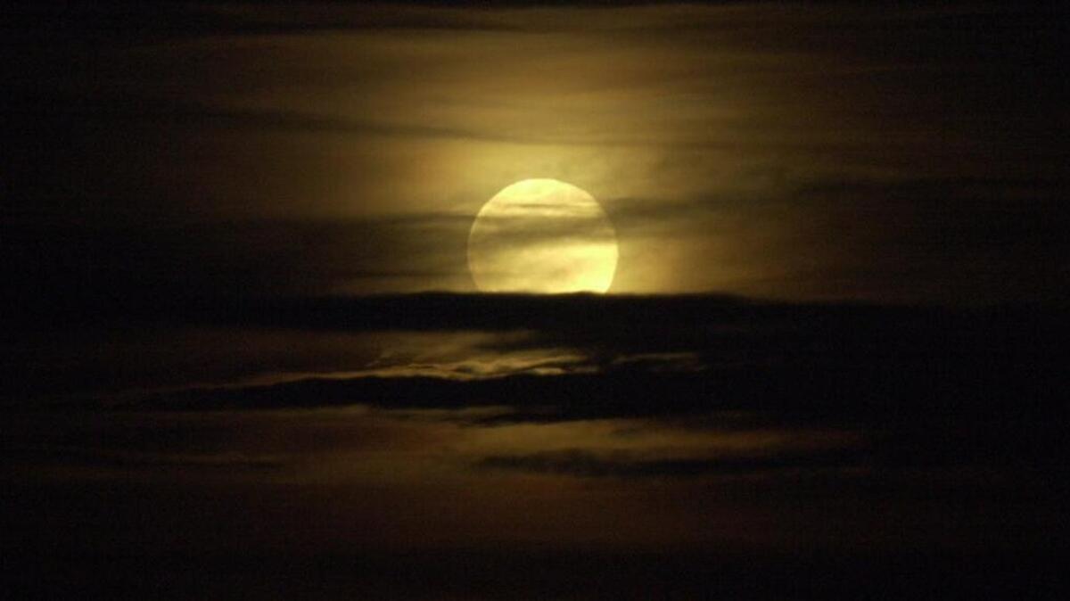 
A full moon will accompany a tour of the San Francisco Botanical Garden on Sept. 28. 
