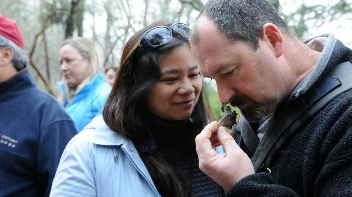 A wild mushroom forage event is part of the fun to be had at the Napa Truffle Festival.