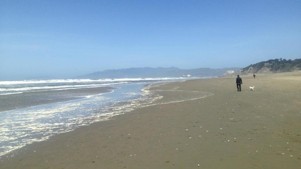 These days, Ocean Beach is a desolate stretch of sea-slapped shore visited by more than 3 million people a year, yet so spacious you can walk its length in seeming solitude.