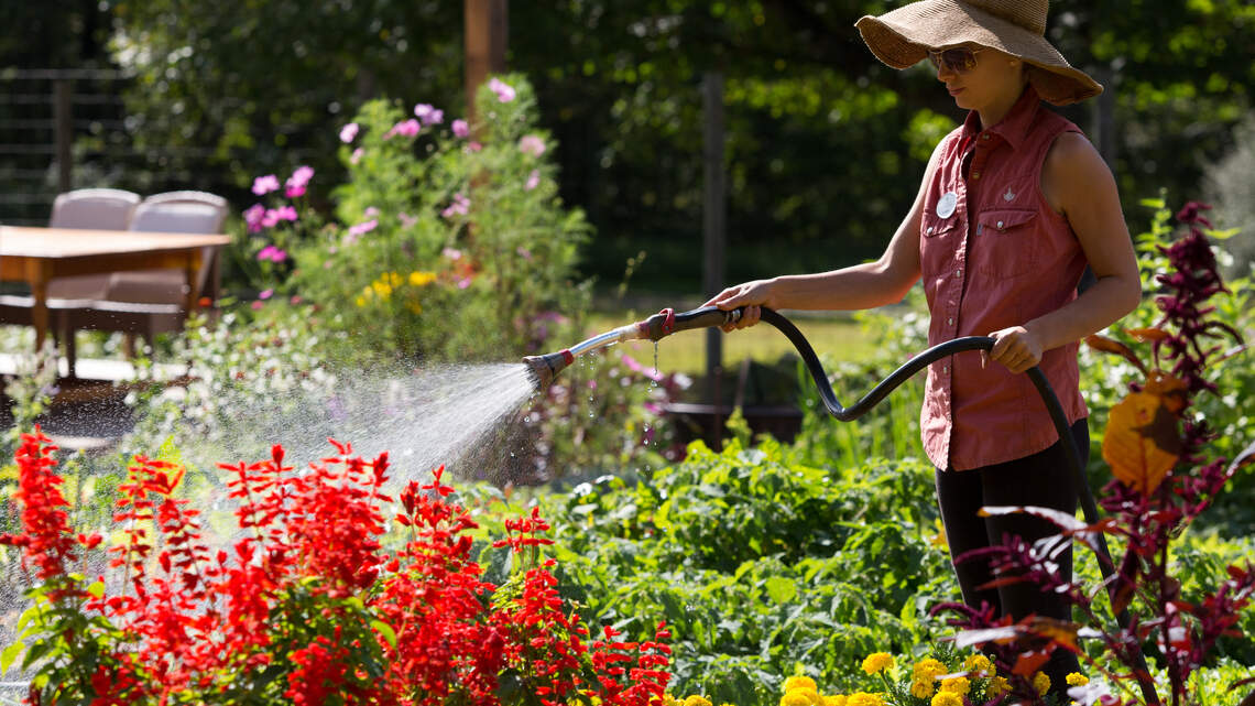What does it take to be a master gardener? Requirements, volunteer hours and fees