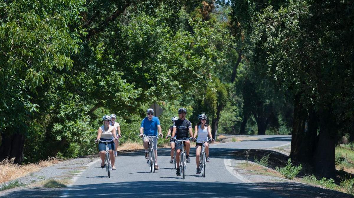 A bike group make its way down a road in the Sacramento-San Joaquin River Delta a few years ago near Clarksburg.