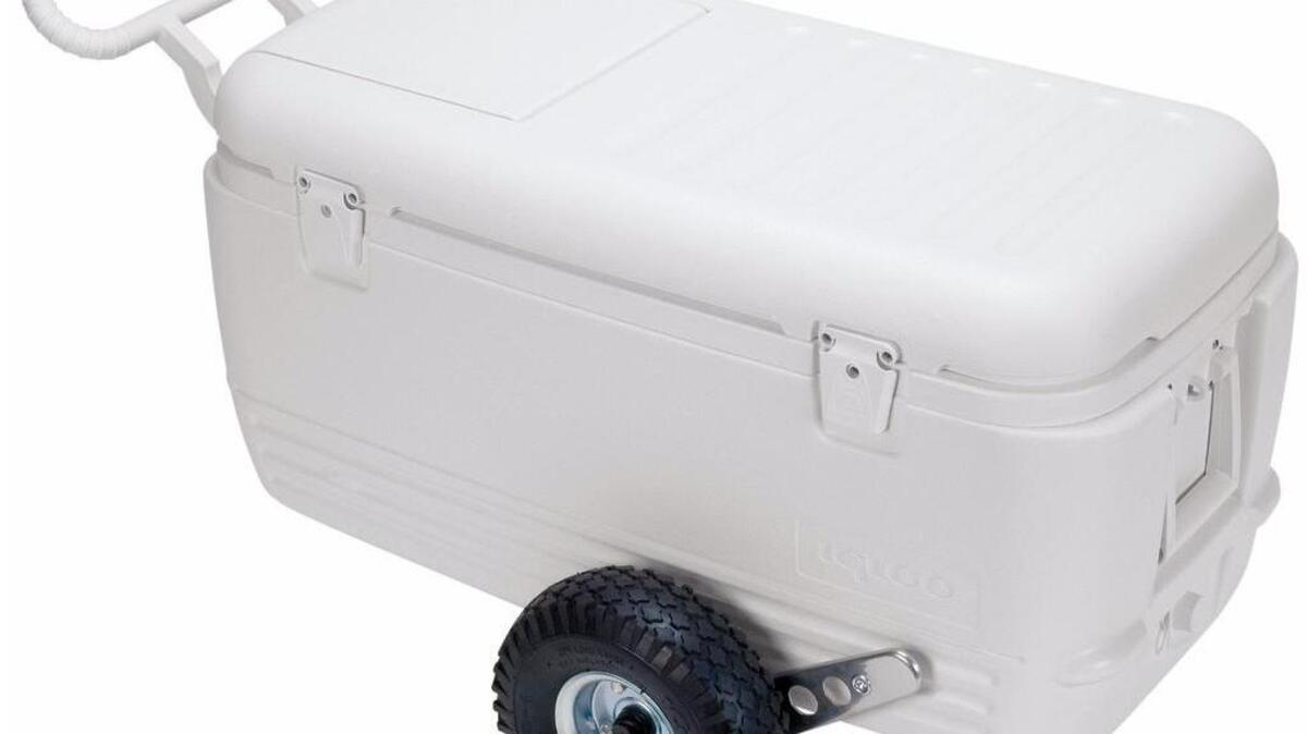 
Igloo says its All-Terrain Cooler can carry every item in your home refrigerator. 

