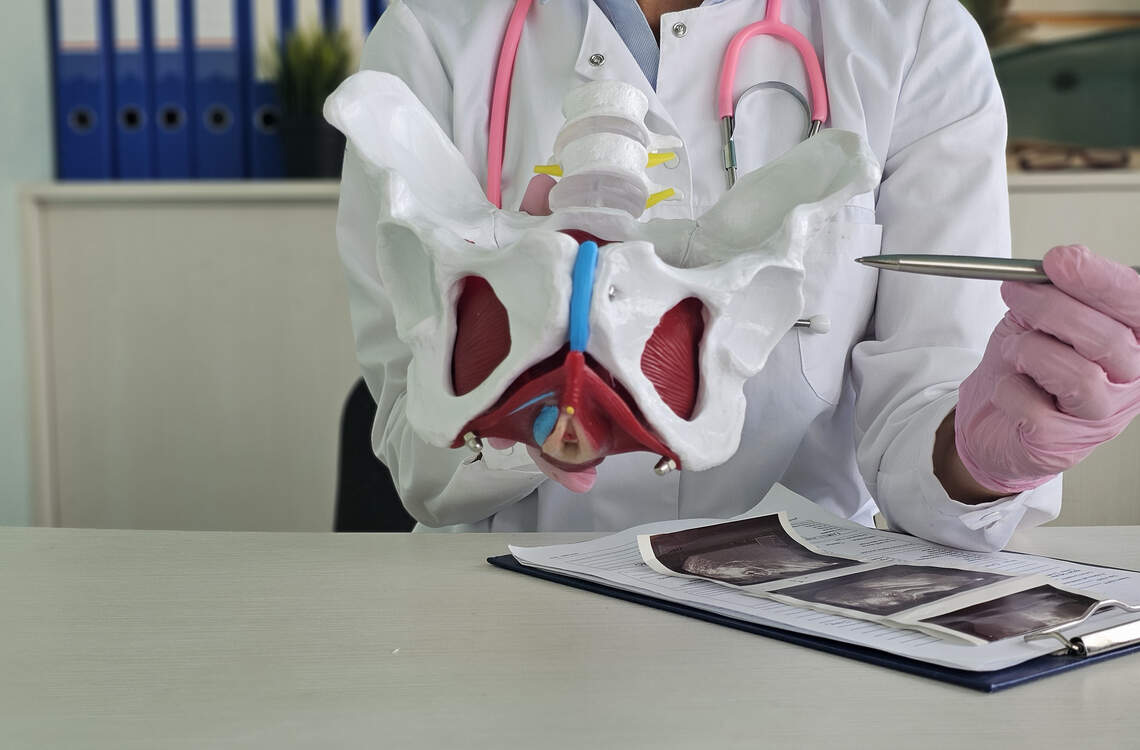 The pelvic floor: Why is everyone suddenly talking about this hidden muscle?