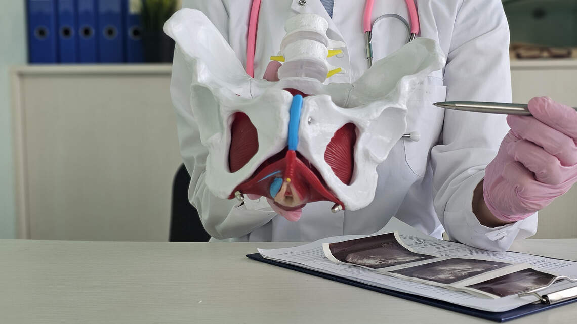 The pelvic floor: Why is everyone suddenly talking about this hidden muscle?