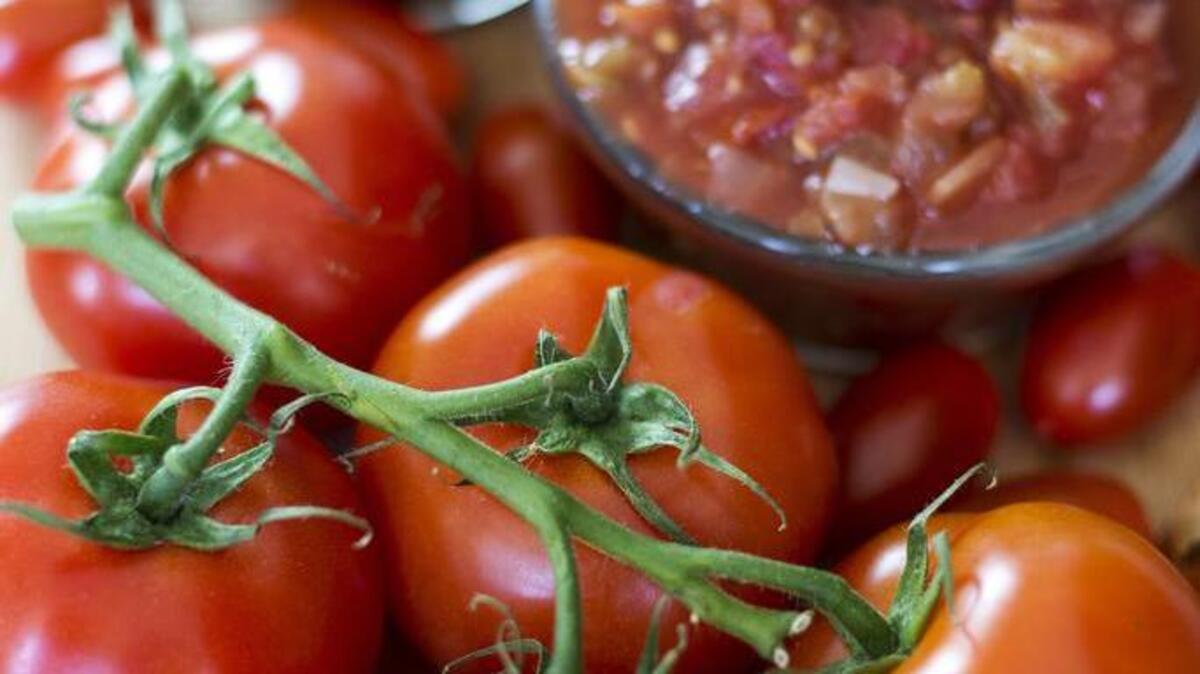 The Sacratomato festival runs 4-8 p.m. Saturday, July 23, on the grounds outside Sutter’s Fort and includes a salsa-making contest.