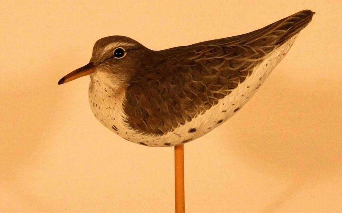 
The 45th Annual Classic Wildlife Art Festival is a chance to see prize-winning decoys or to see carvers at work. 
