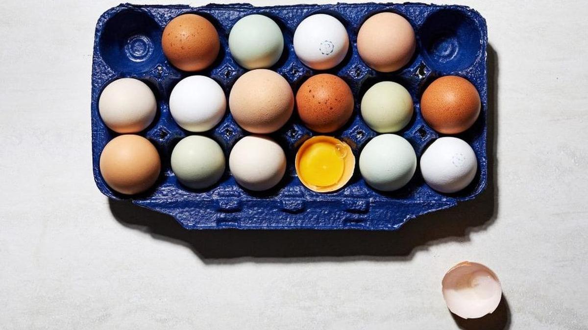There are plenty of factors when it comes to choosing grocery store eggs.