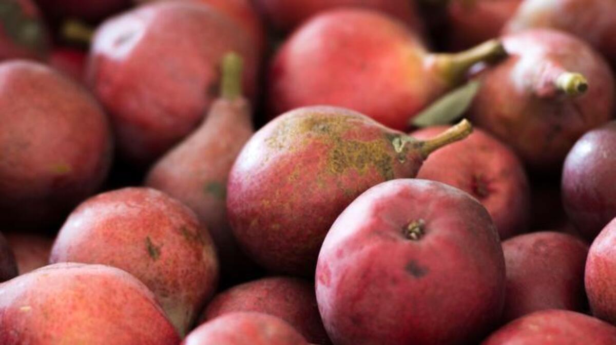 
Starkrimson pears are shown in a packing bin earlier this month at Greene and Hemly Inc. of Courtland.
