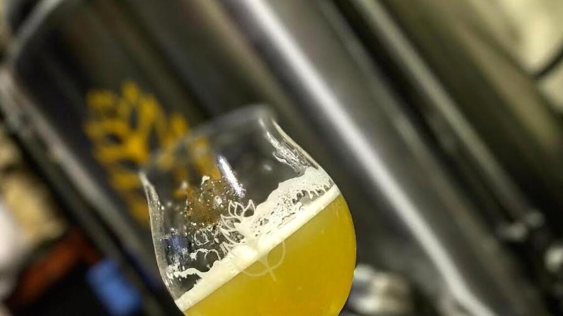 After 83,000 votes, readers say this Elk Grove brewery makes the region’s best beer