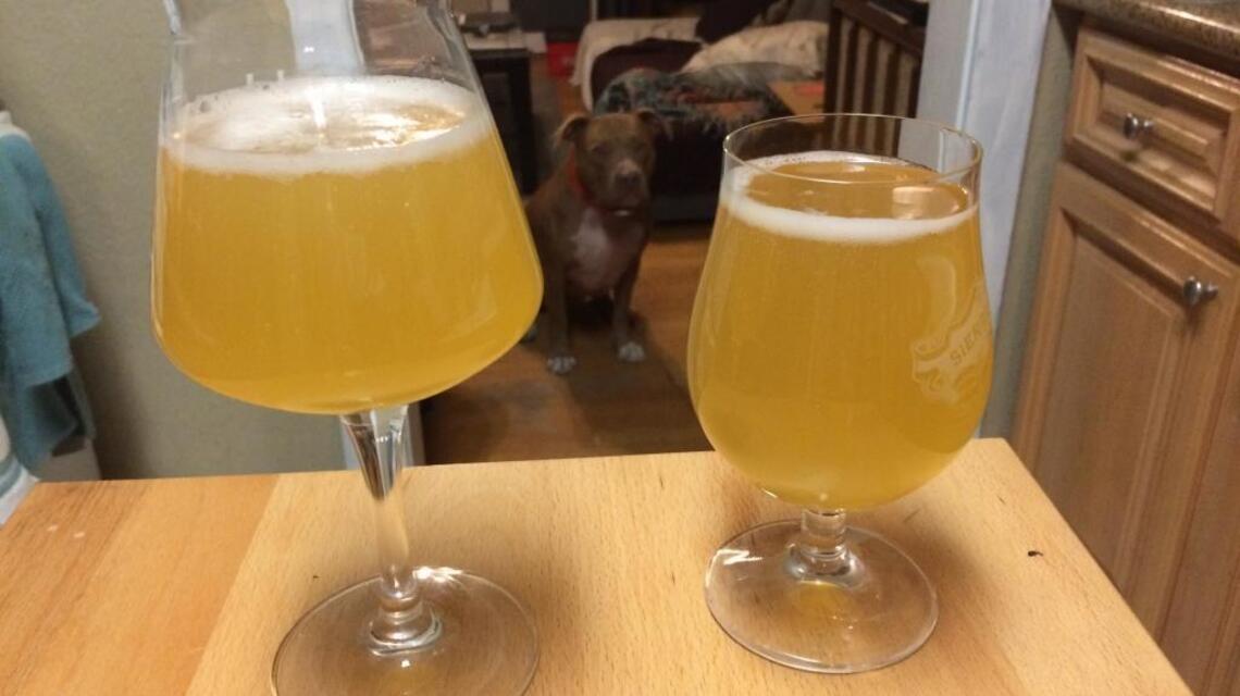 Beer Run: Six craft beers for cravers of quality