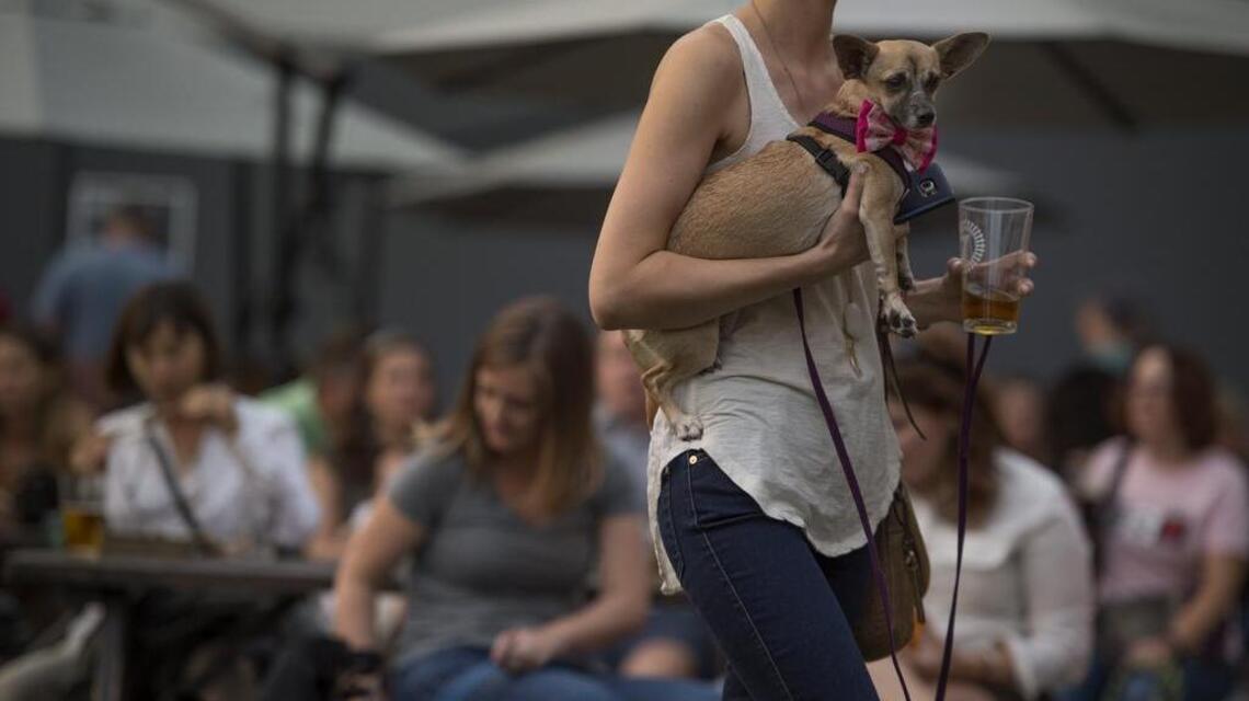 Could dogs be banned from Sacramento-area breweries?