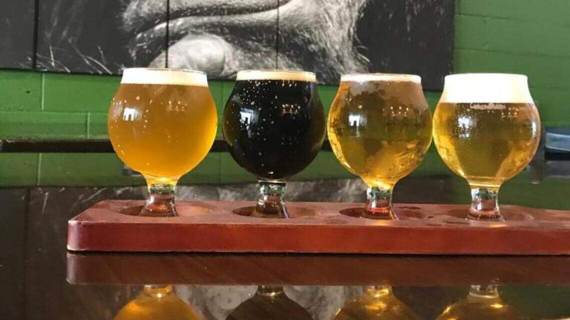 Want a lighter local beer to enjoy in the Sacramento heat? Here are five worth a pour
