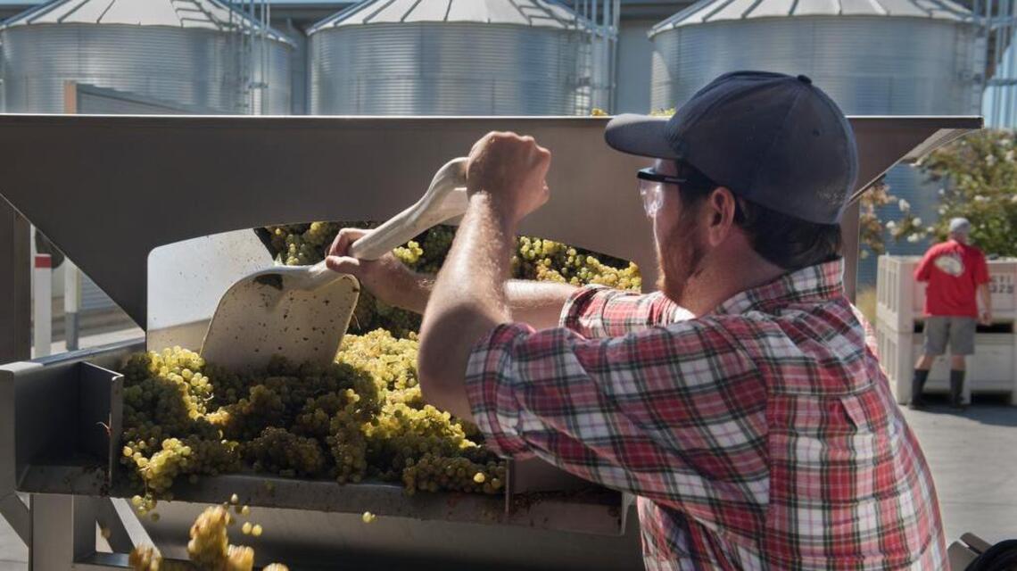 UC Davis seeks to turn little water into wine