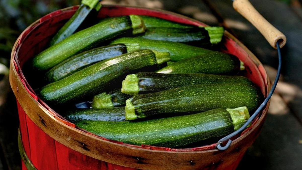 This time of year, zucchinis have been known to appear inside unlocked cars and on door steps and get shoved into the arms of visitors.
