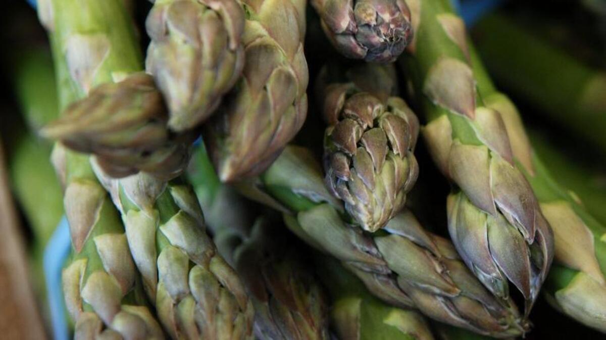 Asparagus spears were on display at the Stockton Asparagus Festival, April 26, 2008.
