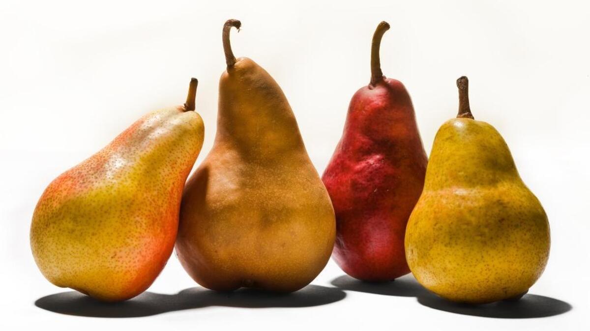 Fresh California pears are now in season. From left, the pears are: Forelle, Bosc, Red and Bartlett.