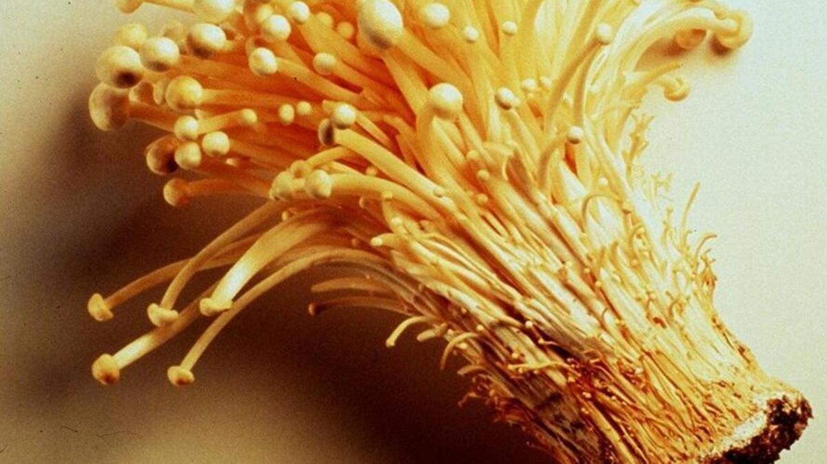 Enoki mushrooms