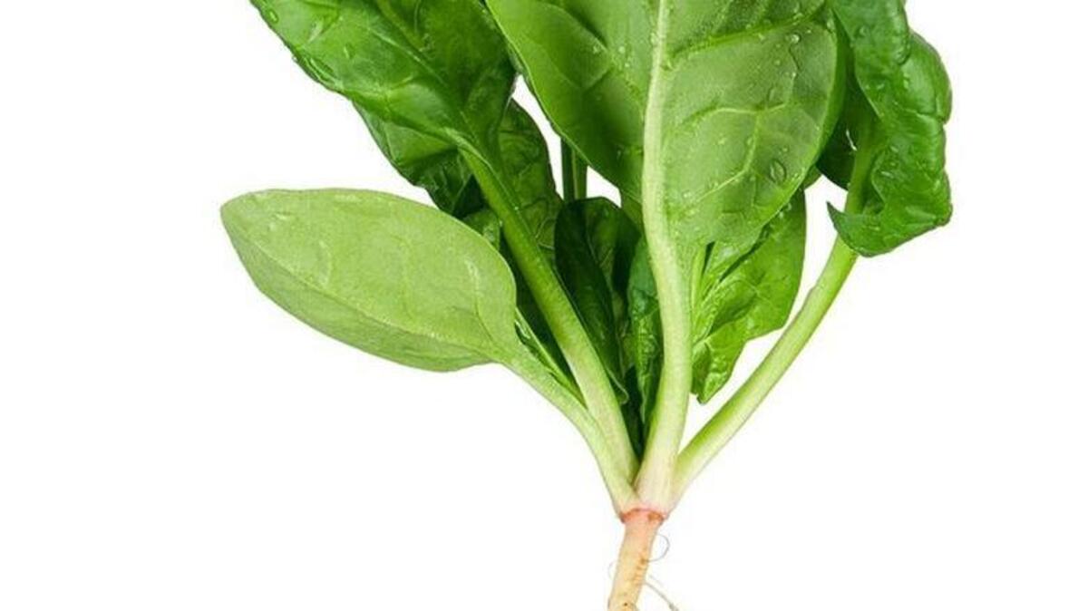 Spinach, a super food