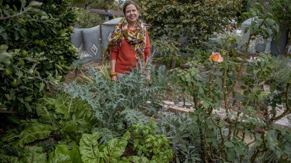 Ann Evans stands in her edible garden in Davis. Evans, former mayor of Davis and co-founder of the Davis Farmers Market, has a revised edition of her cookbook, “The Davis Farmers Market Cookbook.”