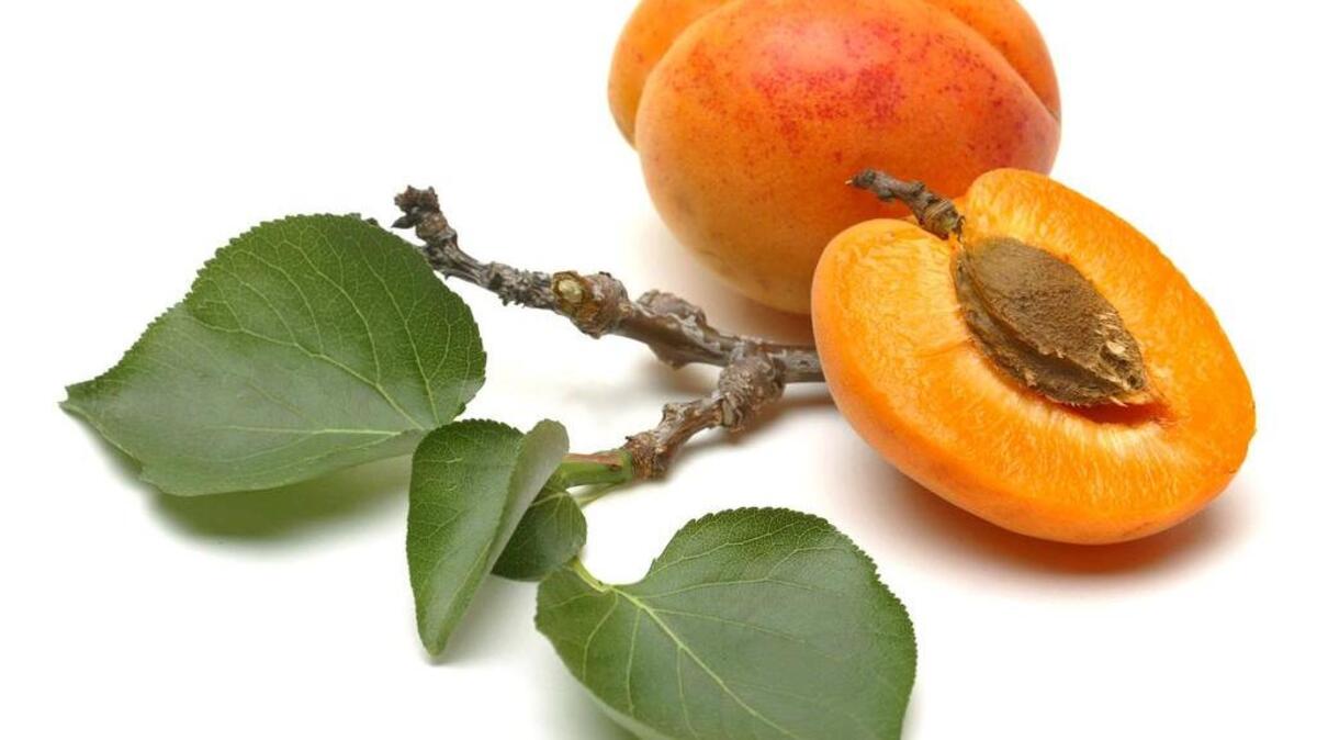 Apricots has a short but memorable season.