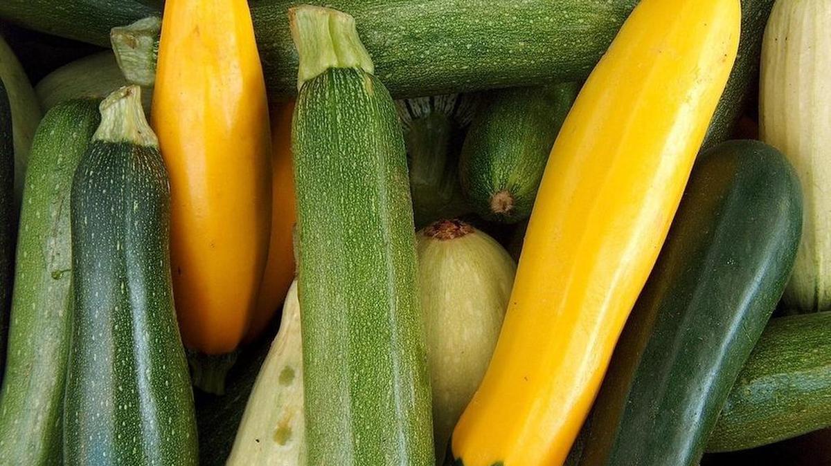 Colorful summer squash are in season now.