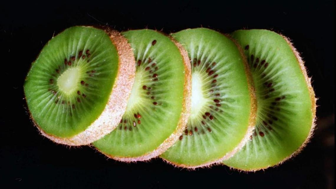 Kiwifruit, originally from the Yang-tse River Valley in China, was introduced to the American public about 50 years ago.