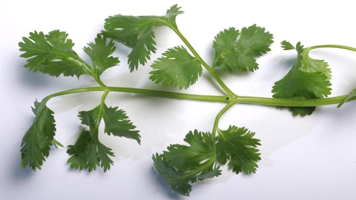Cilantro has a lot of flavor for almost no calories.