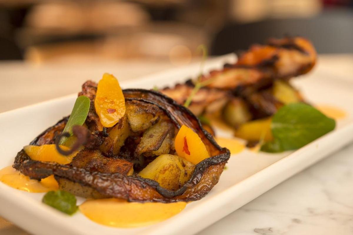 Grilled octopus