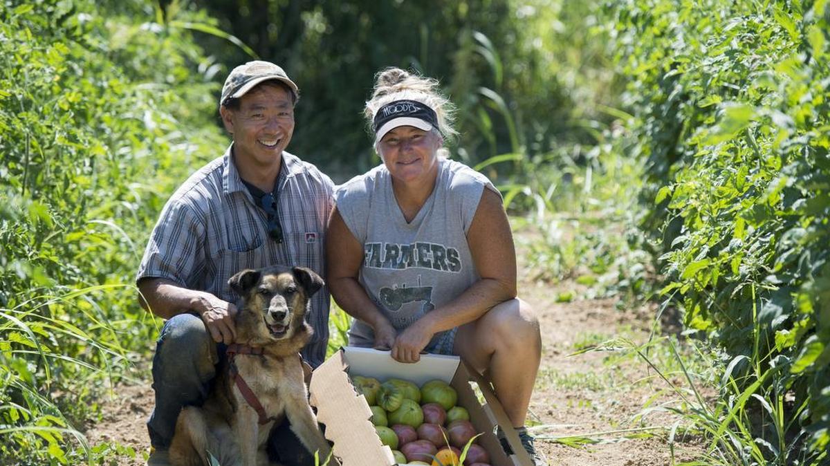 Heidi and Clark Watanabe have become local legends in the farming community, revered by chefs for their flavorful tomatoes and other pristine organic produce. But the couple is calling it quits, scaling back the operation significantly by ending its fruit and vegetable production.