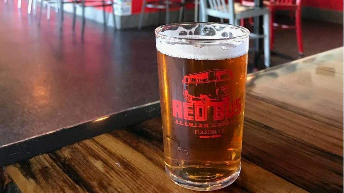 A beer at Red Bus Brewing.