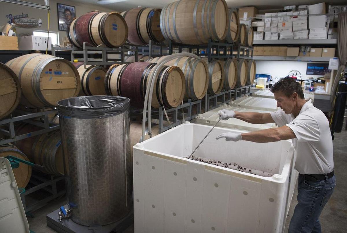 Hall of Fame race car driver Scott Pruett does a punch down of his recently harvested Syrah wine grapes inside his Auburn wine cellar on Wednesday, September 20, 2017 in Auburn, Calif. Pruett is a champion on the racetrack and in the vineyard. Regarded as the best driver in American sports car history, Pruett also is a winemaker. His wine was recently named by Wine Spectator as the best Syrah in America.