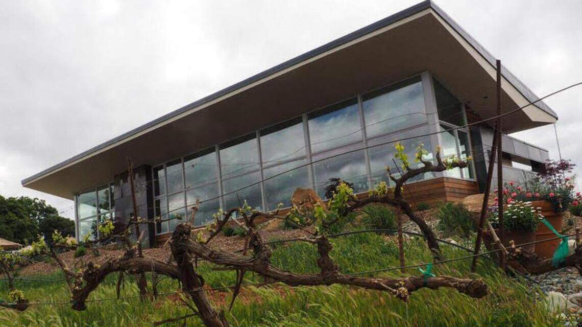 Bright and intriguing wines in full bloom at these four foothill wineries