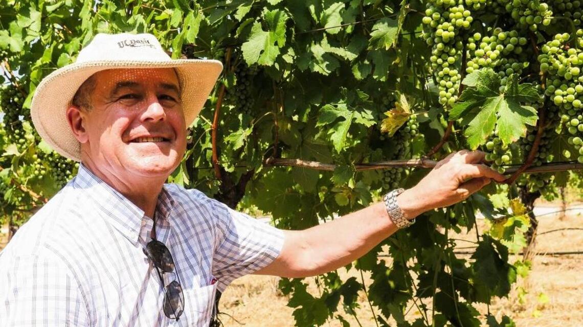 For Italian grape varieties, hope persists in the foothills