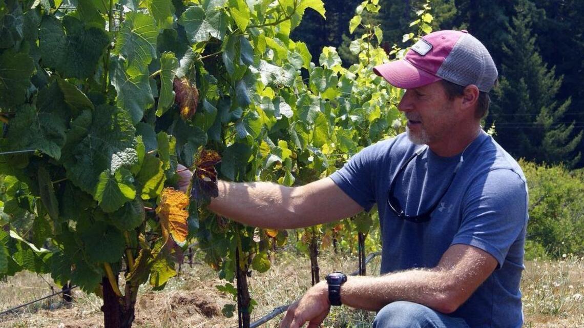 Dunne on Wines: Drew Family makes wine on the edge in Mendocino
