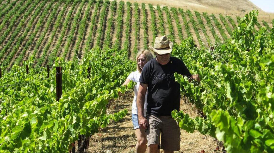 A lonely Mendocino outpost yields wines of uncommon authority