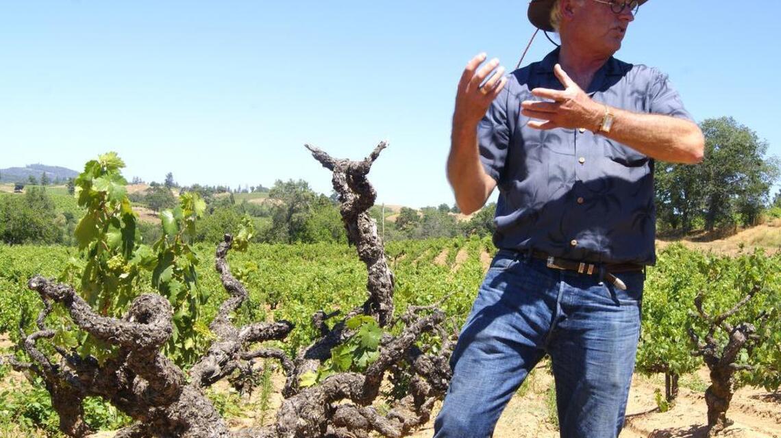 Dunne on Wine: This Thanksgiving, set the table with zinfandel