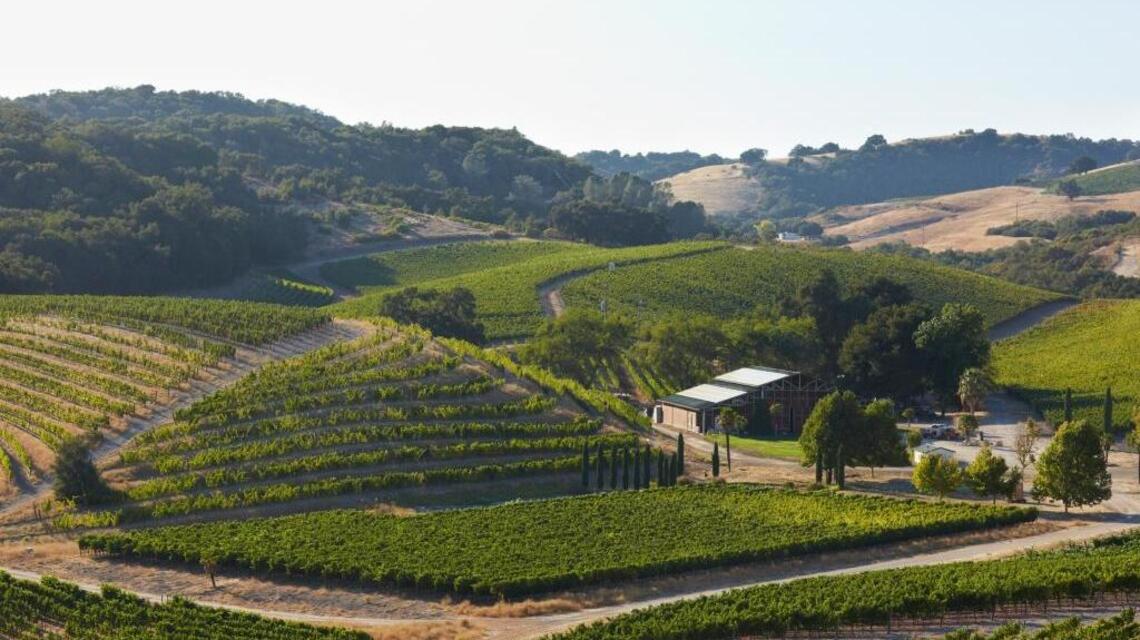 Beyond cabernet: Paso Robles has lots of good (if not better) wines