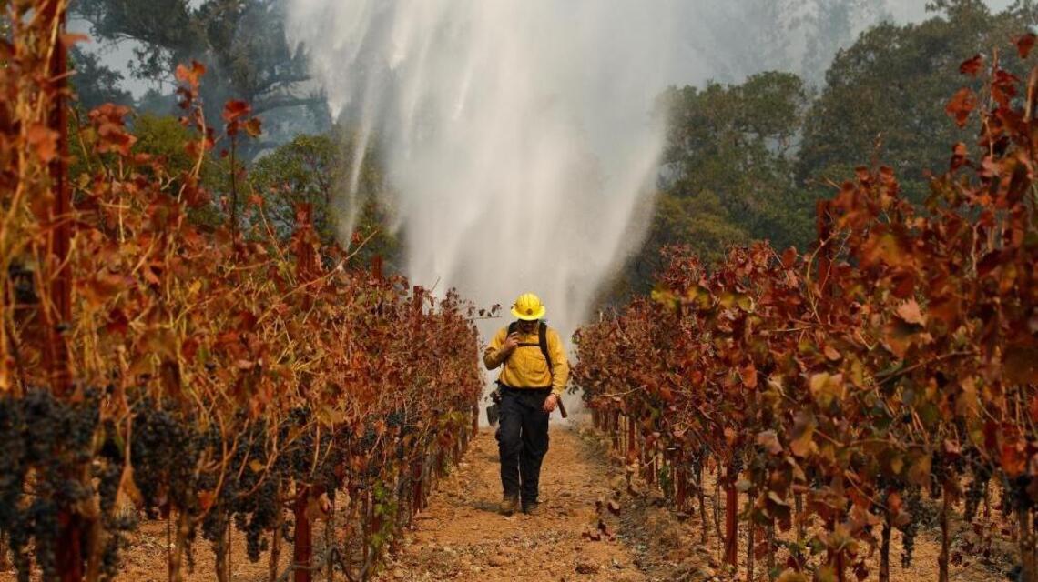 ‘I’m going to pray for the best’: Napa Valley winemakers return to their vineyards after fires