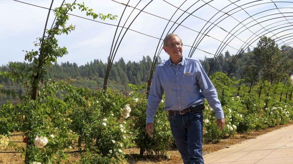 Starfield Vineyards, where the marketing plan bloomed before the wine