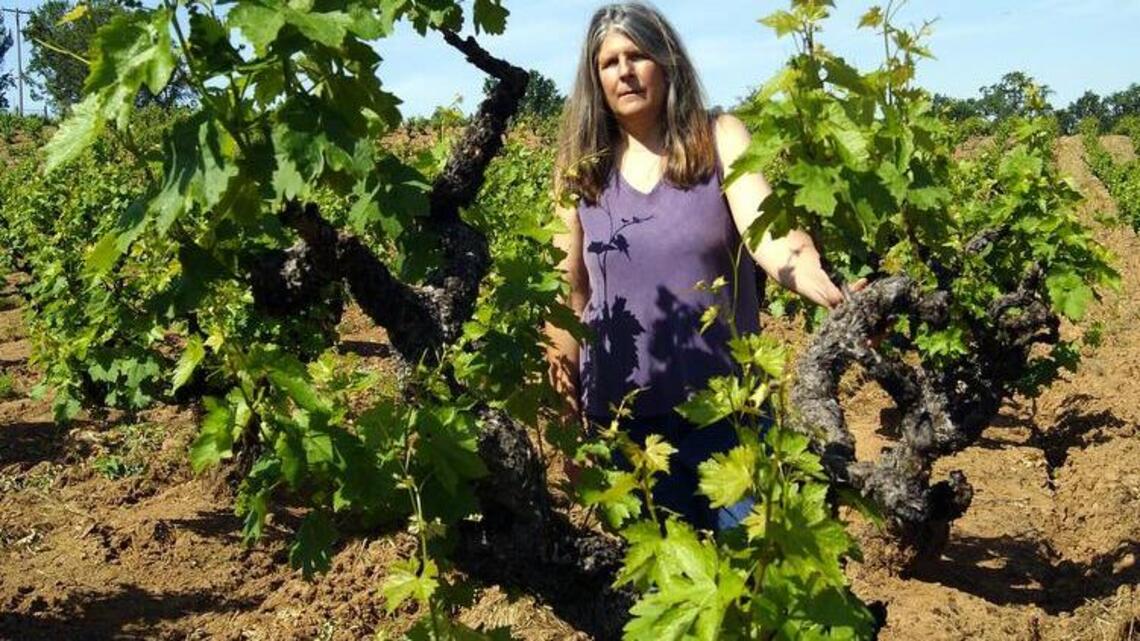 Original Grandpère the State Fair’s vineyard of the year