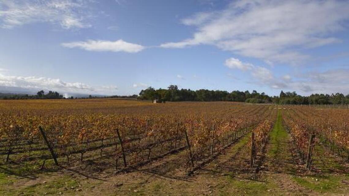 Portuguese wines stand out for variety and value