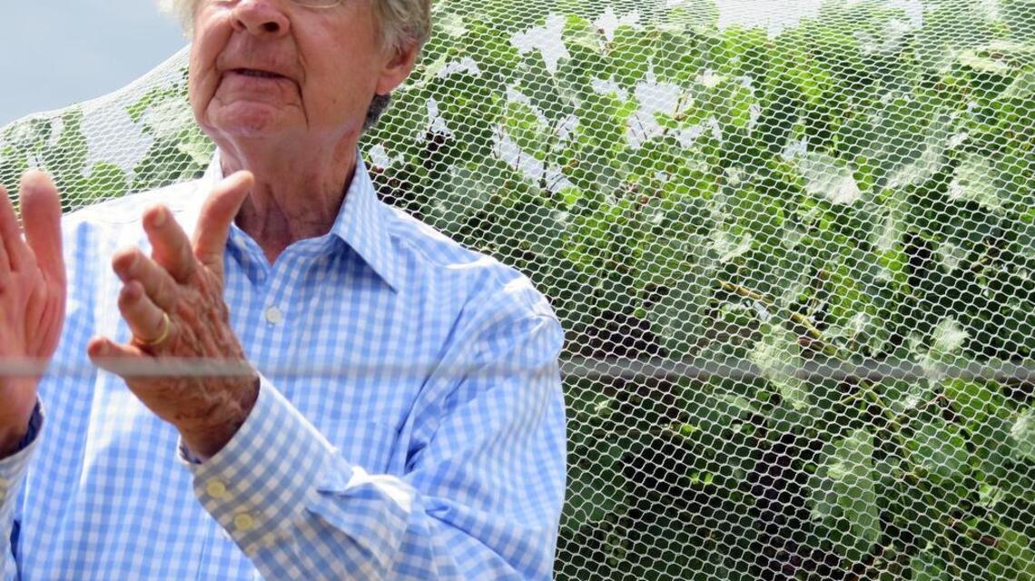 Warren Winiarski reflects on half a century of making wine in California