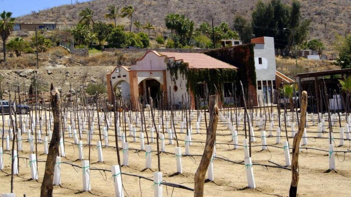 Dunne on Wine: California winemaking star looks to make it big in Mexico