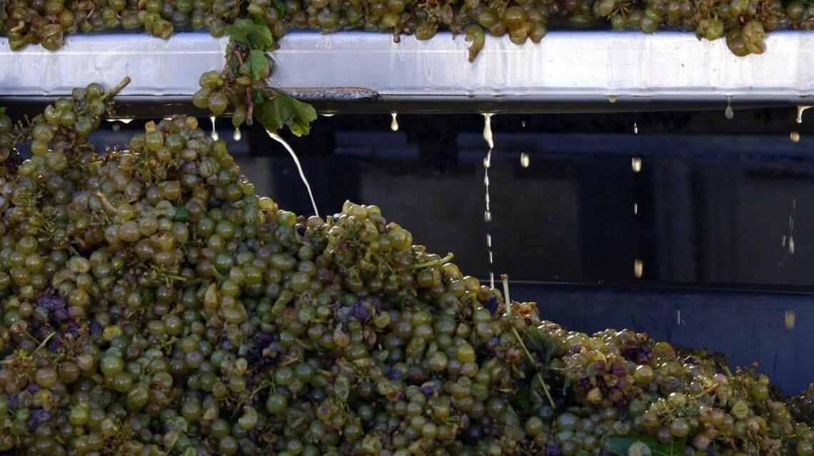 Dunne on Wine: Gems from Idaho