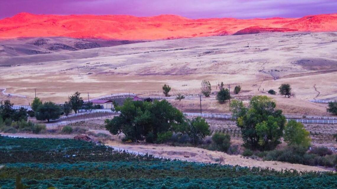 Wine in Idaho? Come along for some surprises