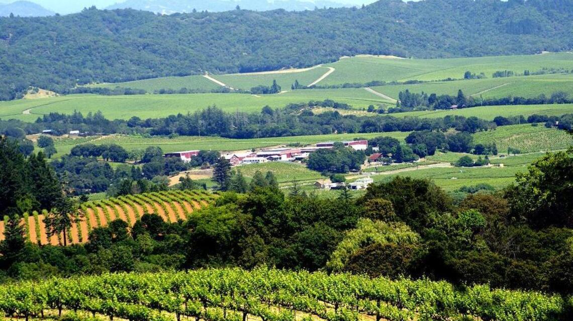 Summer road trips with wine as the destination