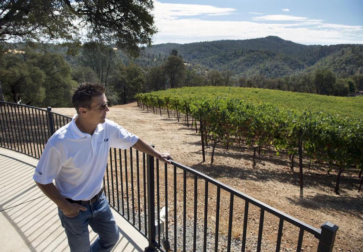 Hall of Fame race car driver Scott Pruett looks over a section of Syrah wine grapes at his Auburn home on Tuesday, September 20, 2017 in Auburn, Calif. Pruett is a champion on the racetrack and in the vineyard. Regarded as the best driver in American sports car history, Pruett also is a winemaker. His wine was recently named by Wine Spectator as the best Syrah in America..