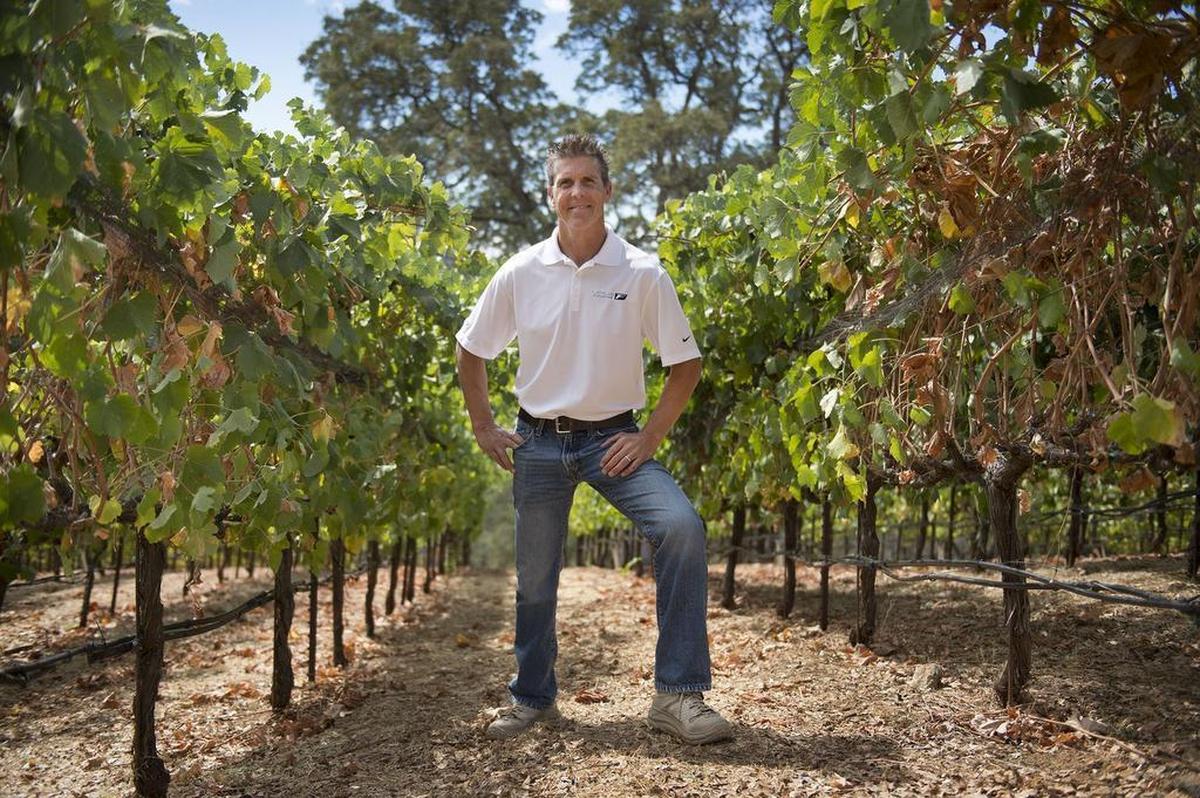 Hall of Fame race car driver Scott Pruett stands in a row of recently harvested Syrah wine grapes at his Auburn vineyard in September 2017. His syrah is widely praised.